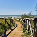Bright Close To The Sea Bibione