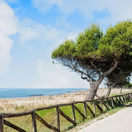 Bright Close To The Sea * Bibione