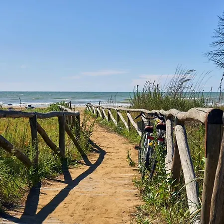 Bright Close To The Sea Bibione