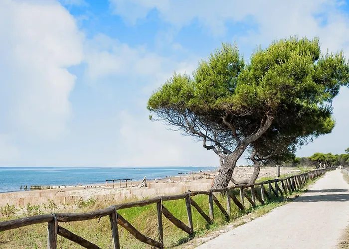 Bright Close To The Sea * Bibione